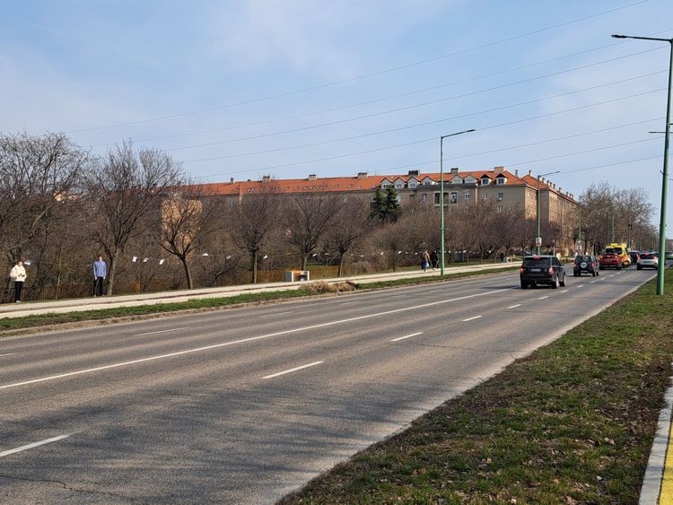 Állatvédelem-pedagógia napja