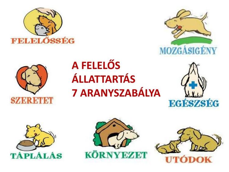 Állatvédelmi témahét2025