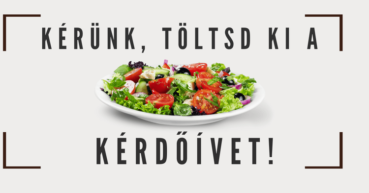 Kérdőív