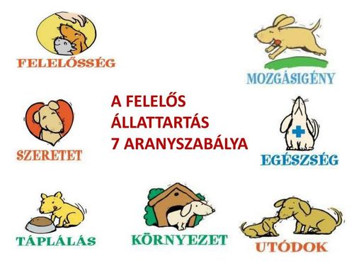 Állatvédelmi témahét2025
